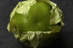 tomatillo