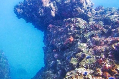 Underwater-structure