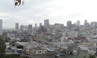 DSC00605