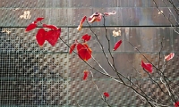 DeYoung-Museum2