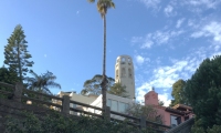 IMG_1554