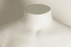 torso