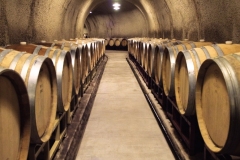 Wine caves Sonoma